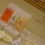 Ege Ξενοδοχείο 4*
